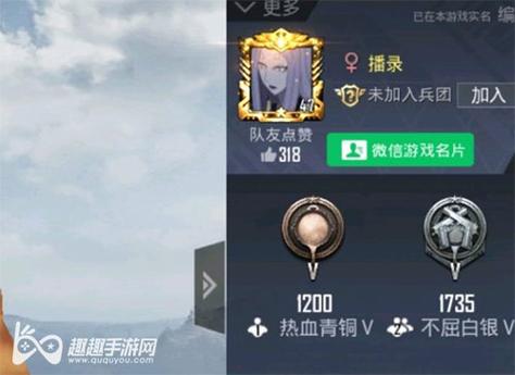 和平精英紫色的标是什么